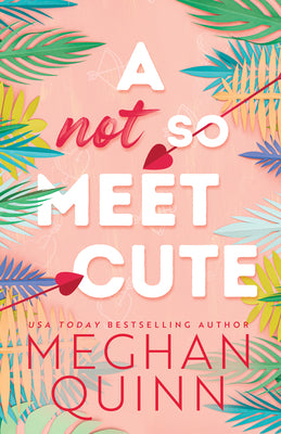 A Not So Meet Cute (Cane Brothers #1) (Paperback)